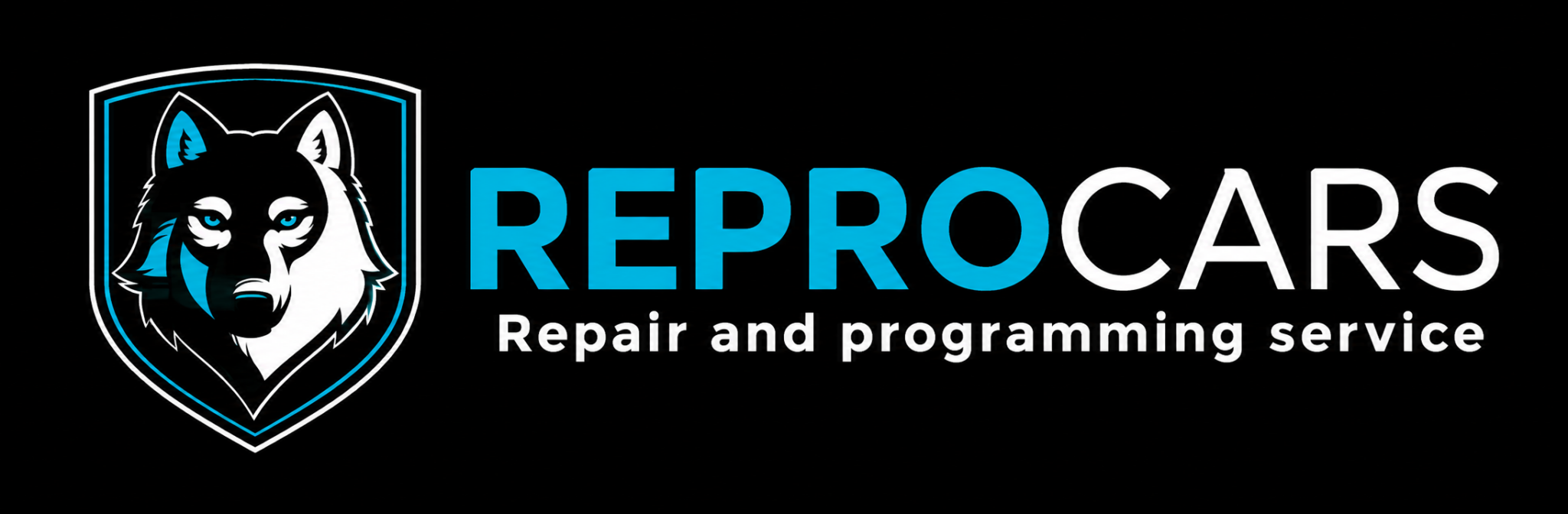 Logo de ReproCars especialista en programación automotriz en Bogotá